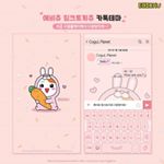 offi토끼테마